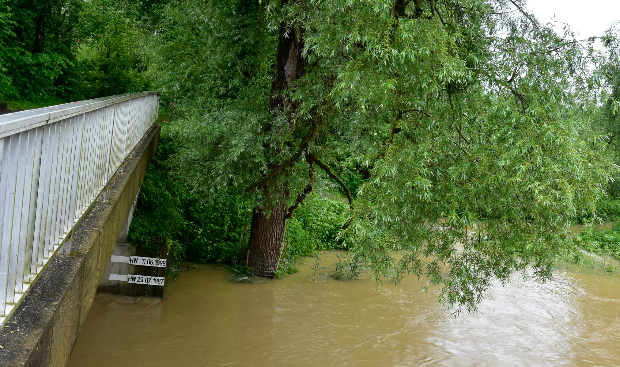 20240602064728 AOA0232